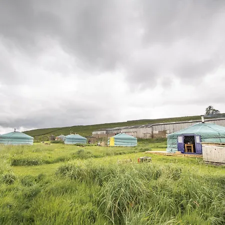 Tatil Evi Kestrel Yurt *