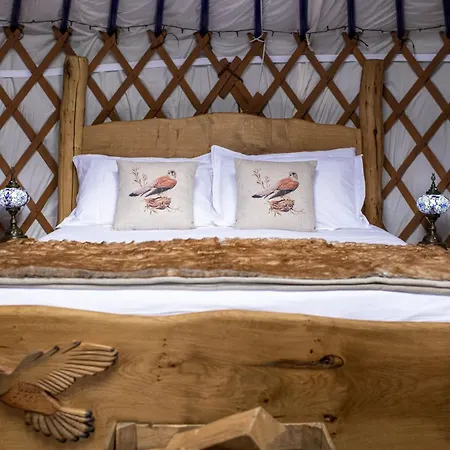 Kestrel Yurt بيت للعطل Bainbridge